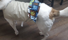Load image into Gallery viewer, Winter Dog Jackets
