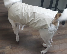 Load image into Gallery viewer, Winter Dog Jackets

